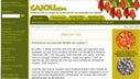 cajou
