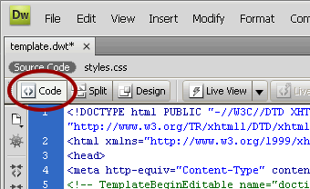 code-view